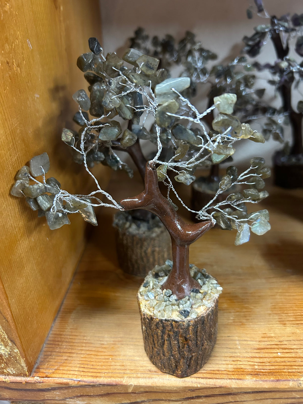 Gem Trees $11