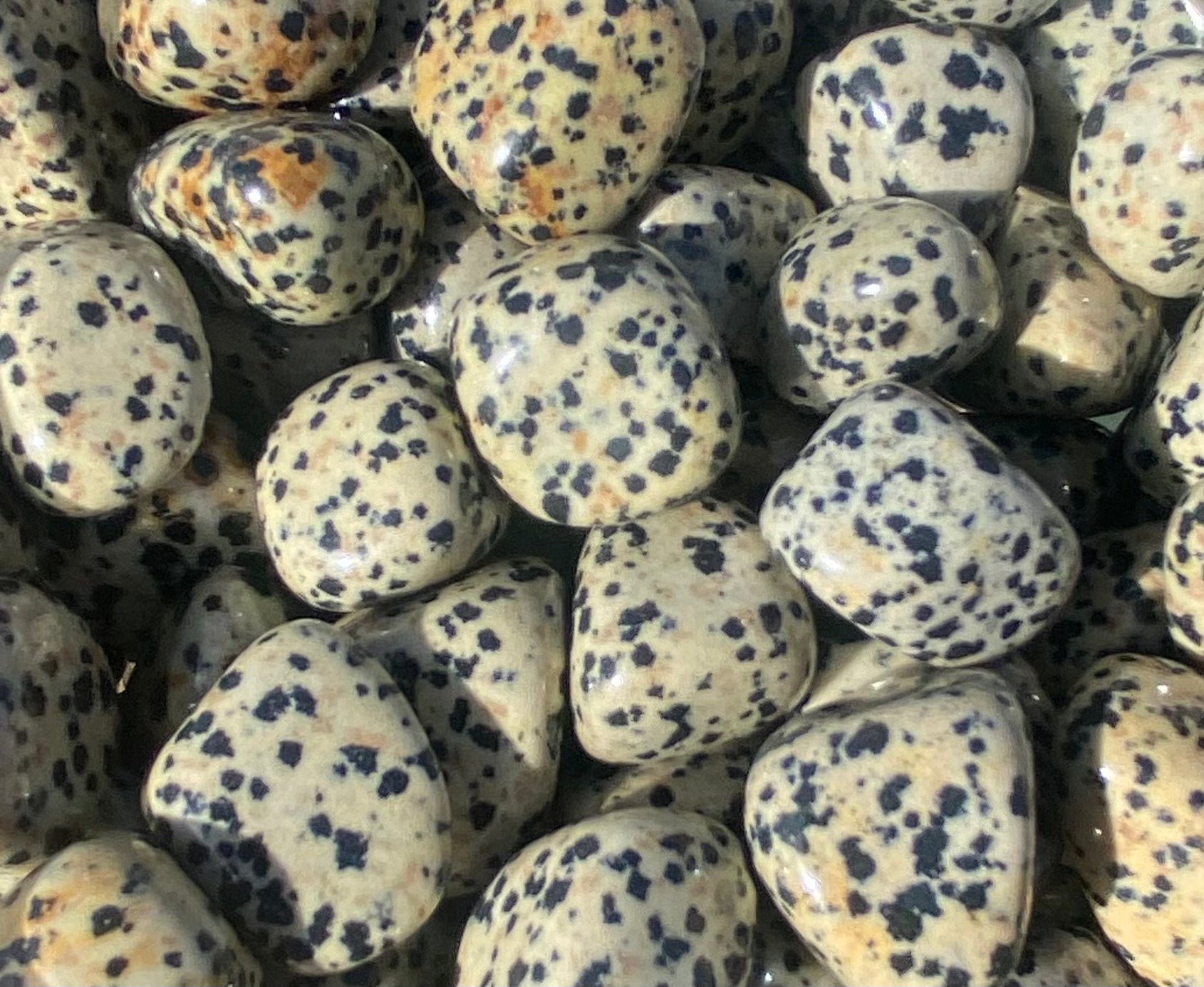 Dalmation Jasper Tumble Mountain Mineral Market