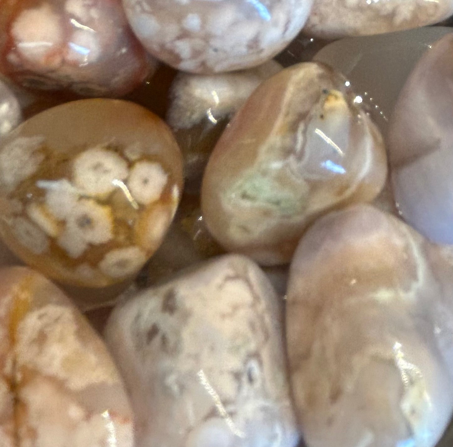 Flower Agate Tumble Mountain Mineral Market