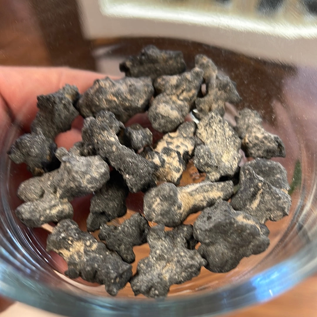 Fulgurite Small Mountain Mineral Market
