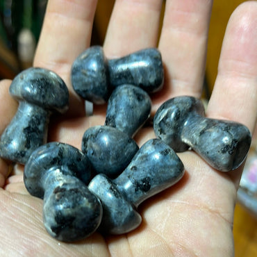 Larvakite Mushrooms 1.5 inch Mountain Mineral Market