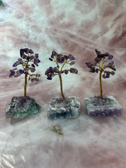 Gem Trees on Fluorite Base