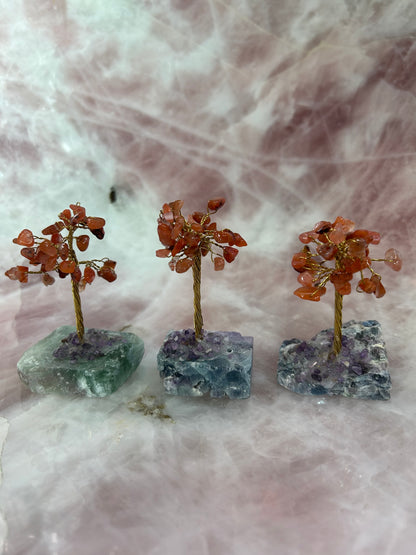 Gem Trees on Fluorite Base