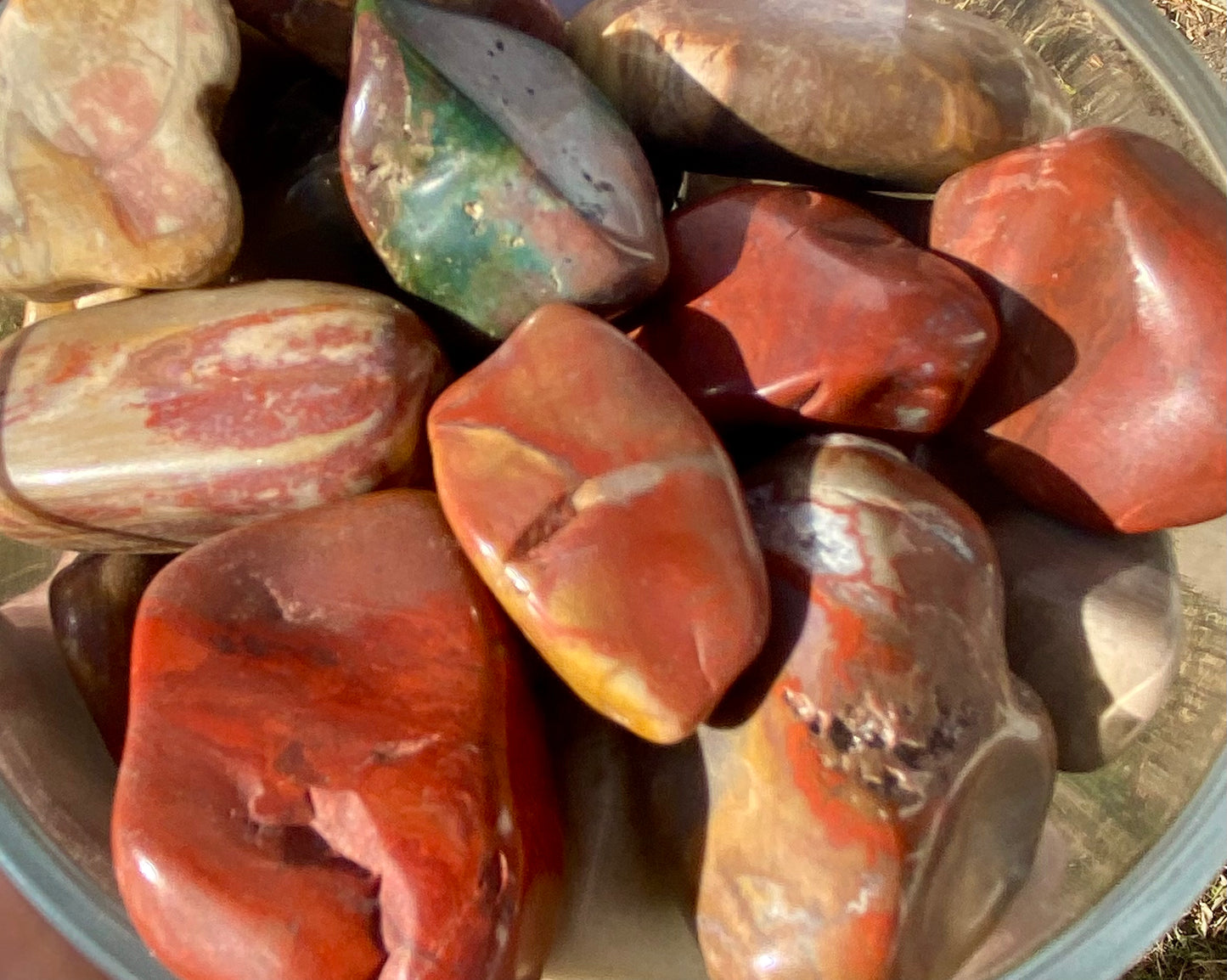 Petrified Wood Tumbled Stones Mountain Mineral Market
