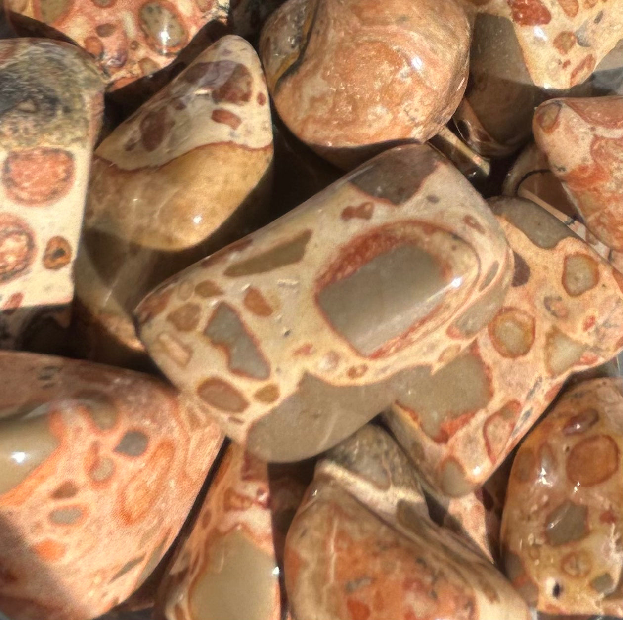Leopardite Tumbles Mountain Mineral Market