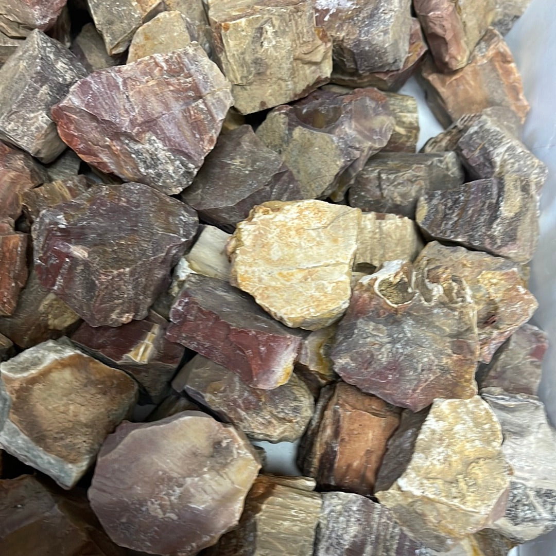 Petrified Wood Rough MMM