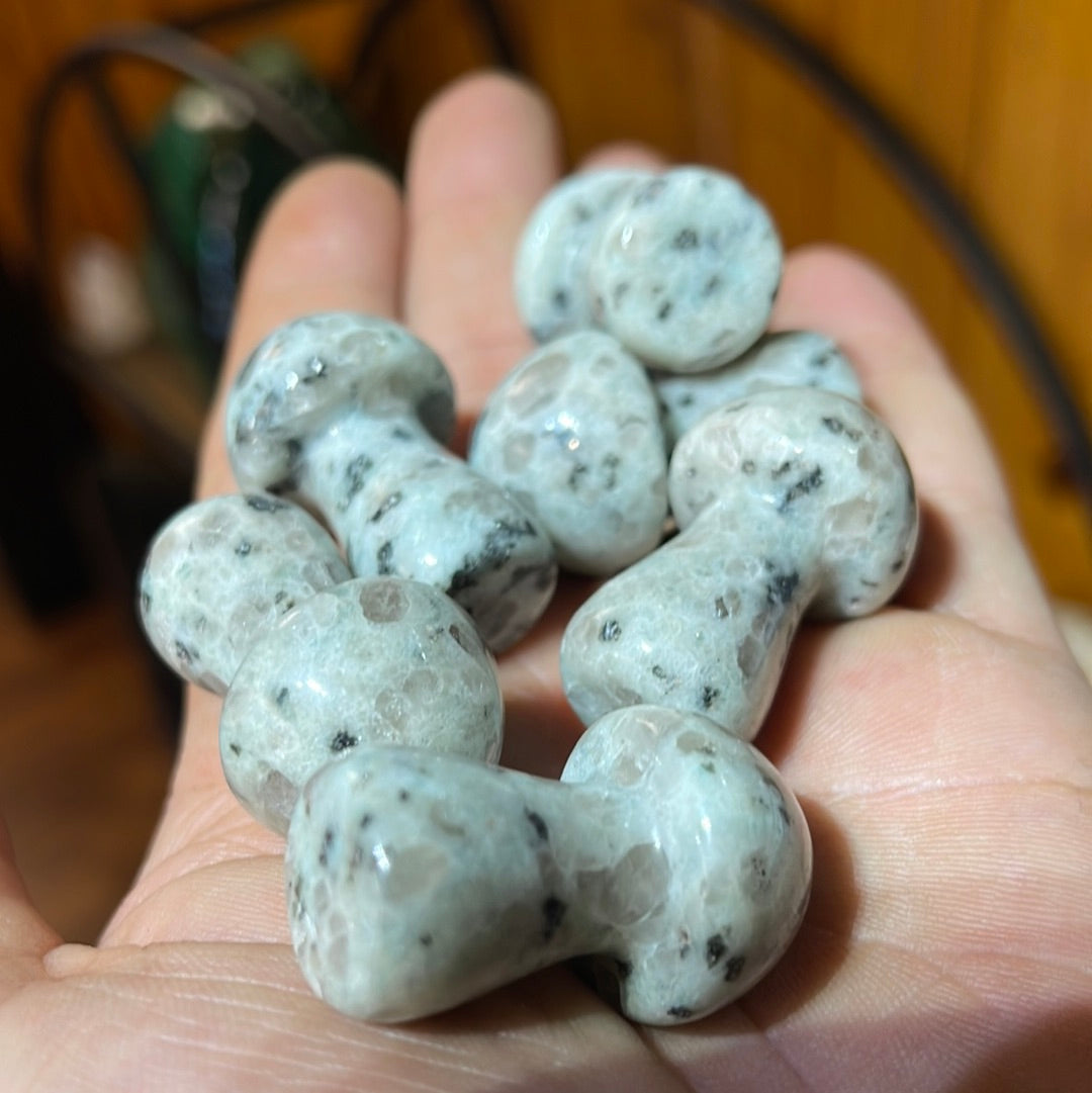 Kiwi jasper Mushrooms 1.5 inch Mountain Mineral Market
