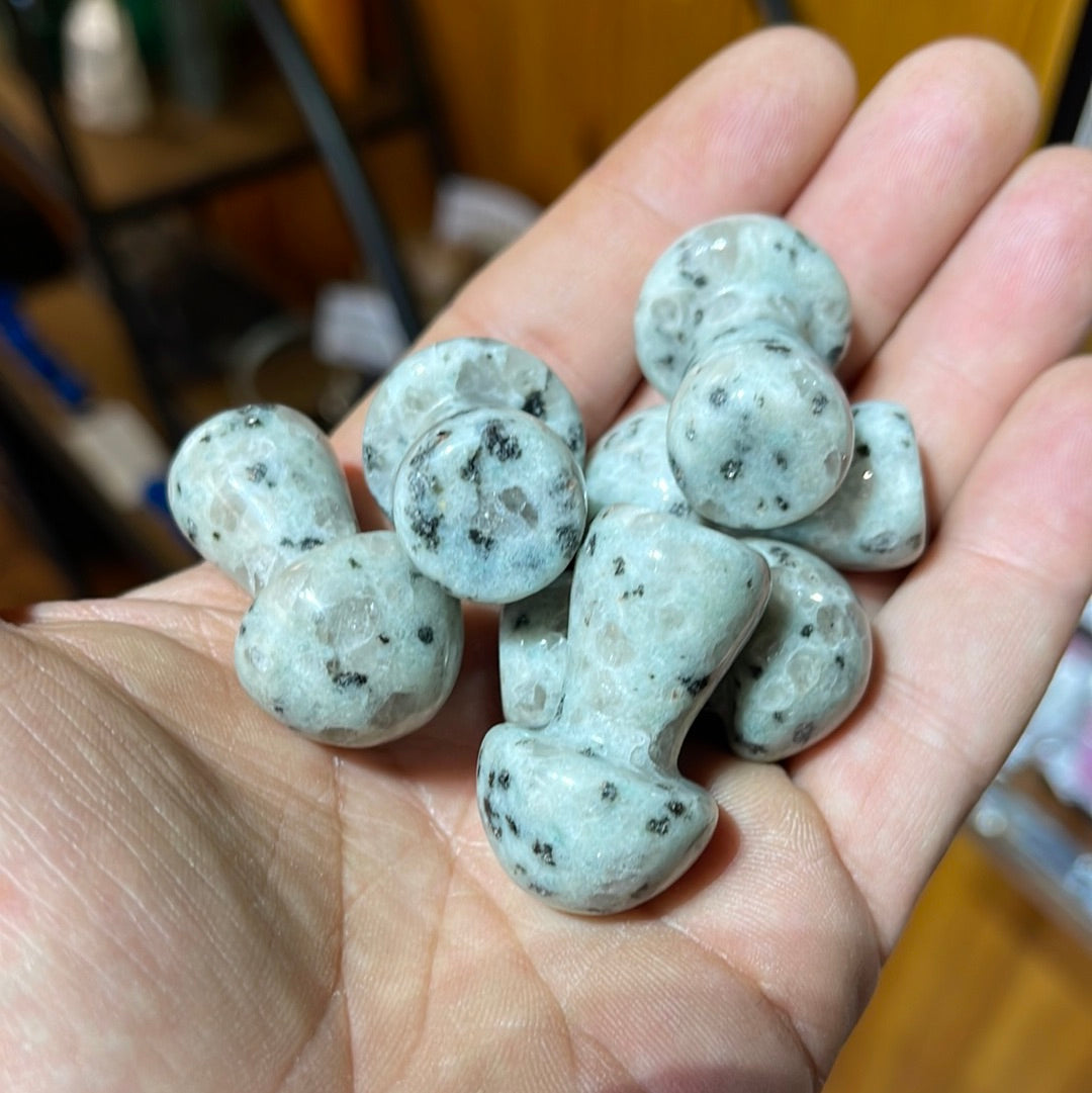 Kiwi jasper Mushrooms 1.5 inch Mountain Mineral Market